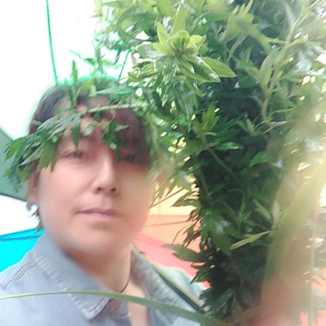 [雨落心尘]