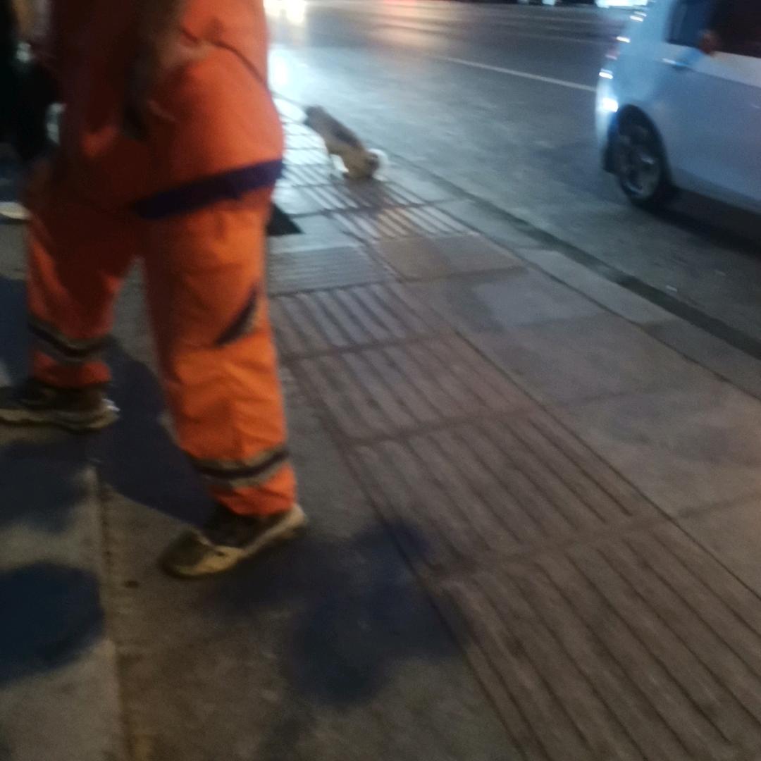 用户1639513430141
