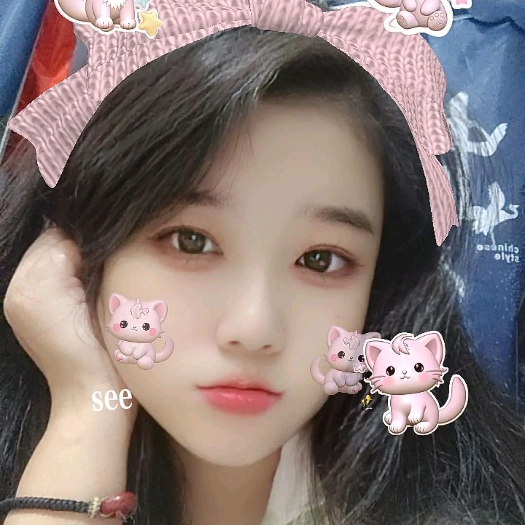 黑夜的猫