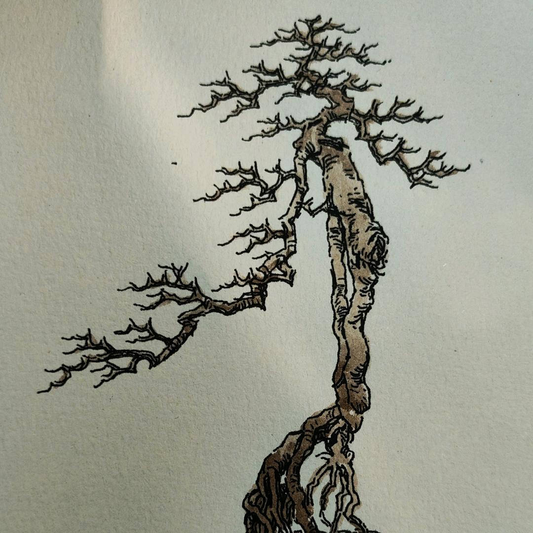 一束花园艺