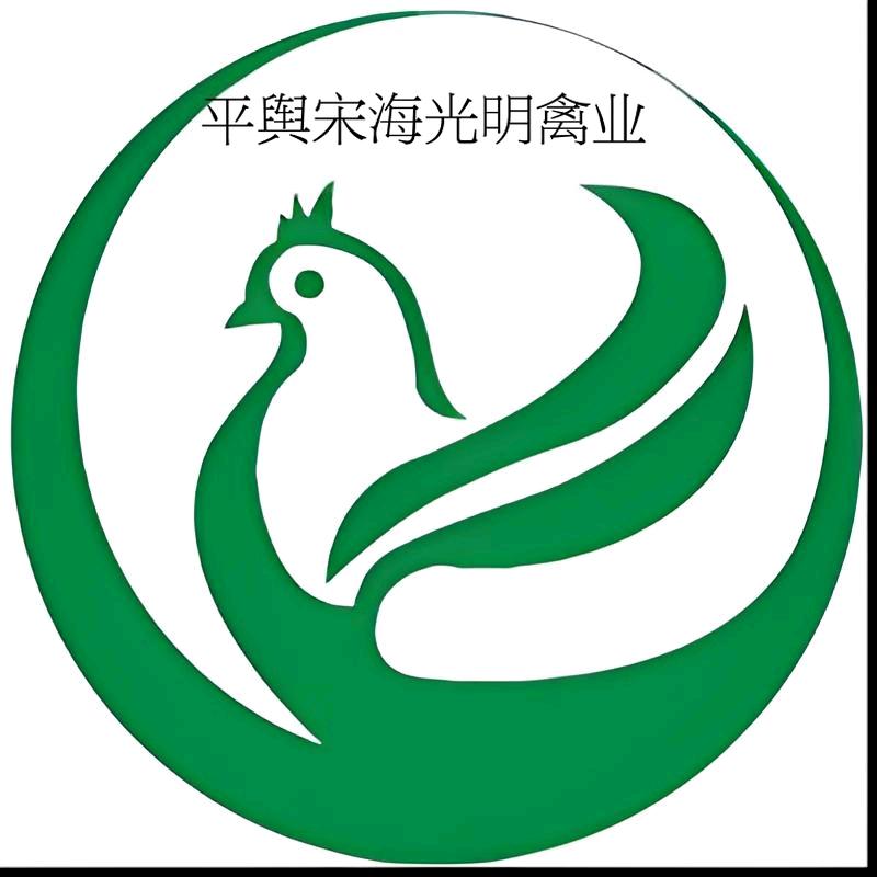 姜寨镇平舆光明禽业