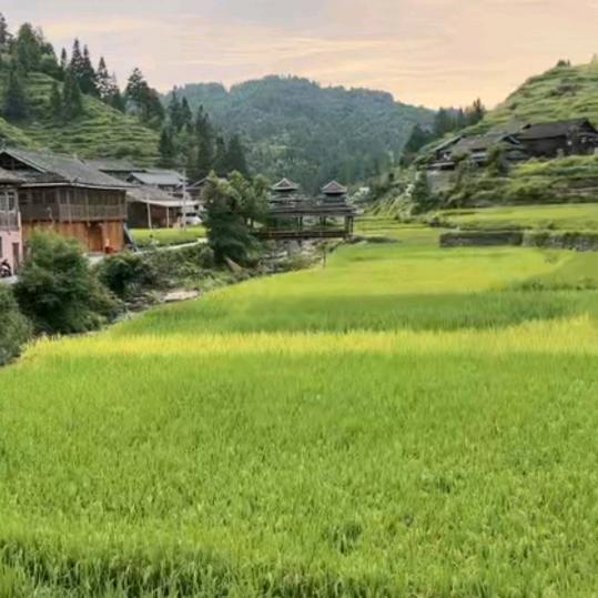 信心