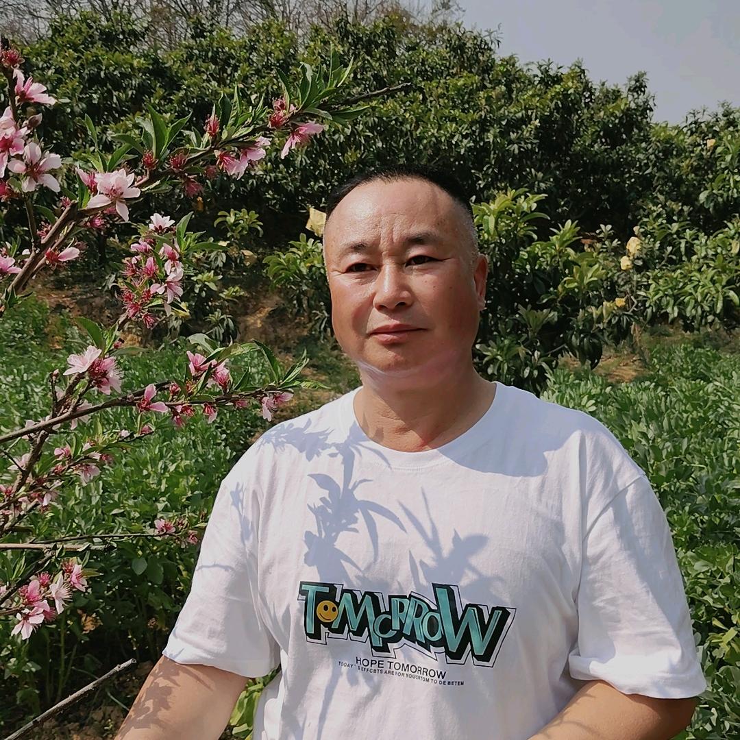 宏兔