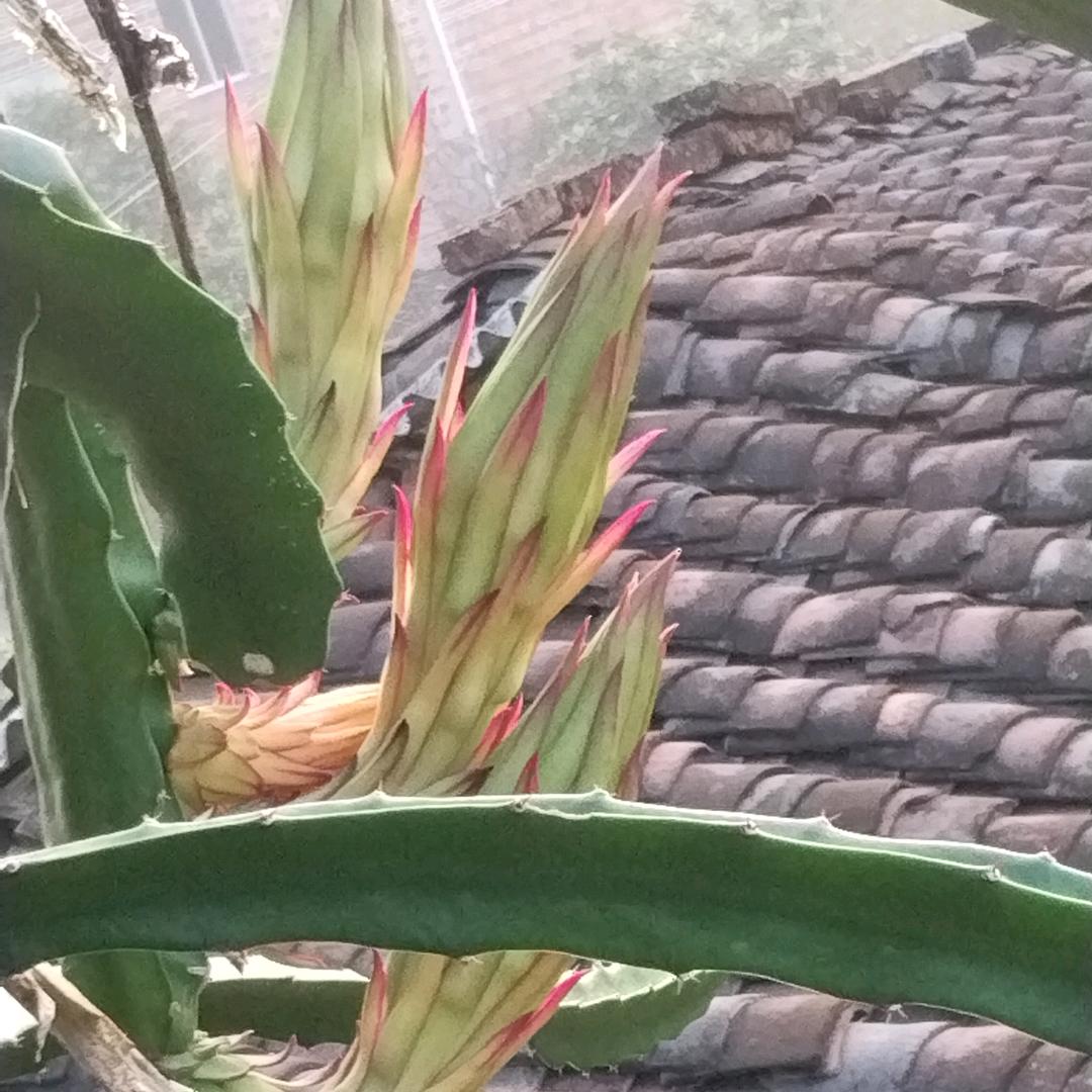 爱谁不如爱自己🍎🍎