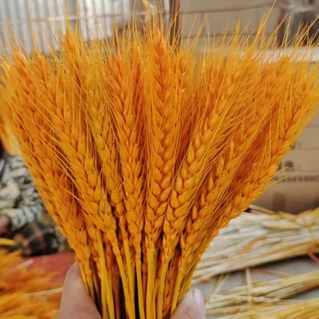 仿真冬青大麦干花源头工厂