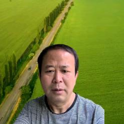 沃尔丰老强农资（商品在厨窗）