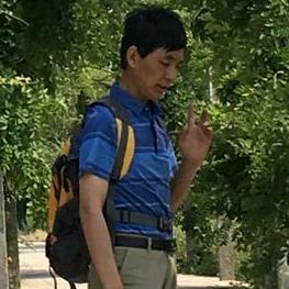 江宁赛鸽老帅