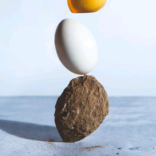 人间客