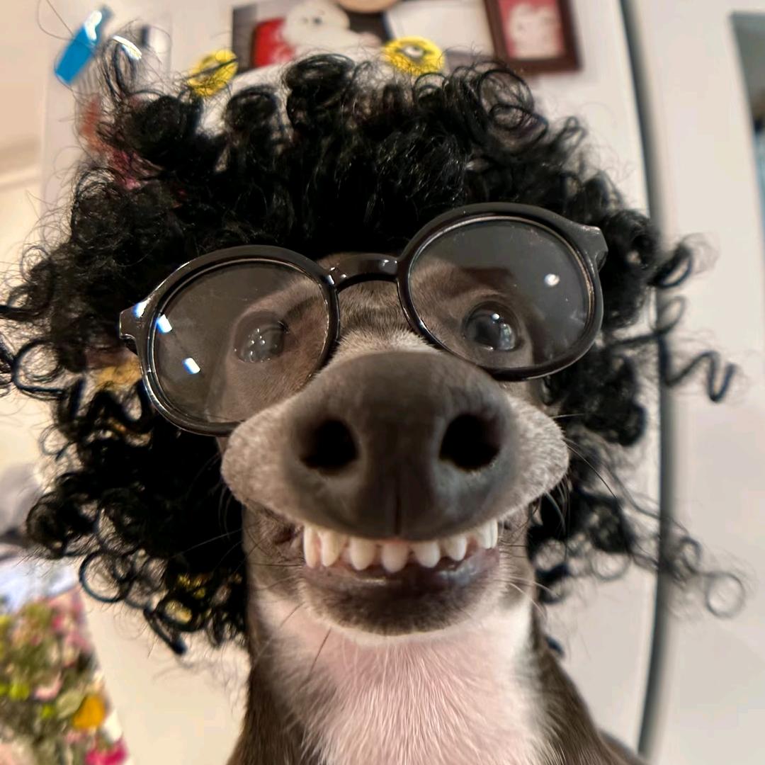 不吃米活不下去