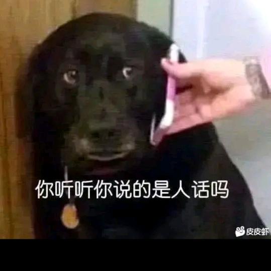 小孩哥