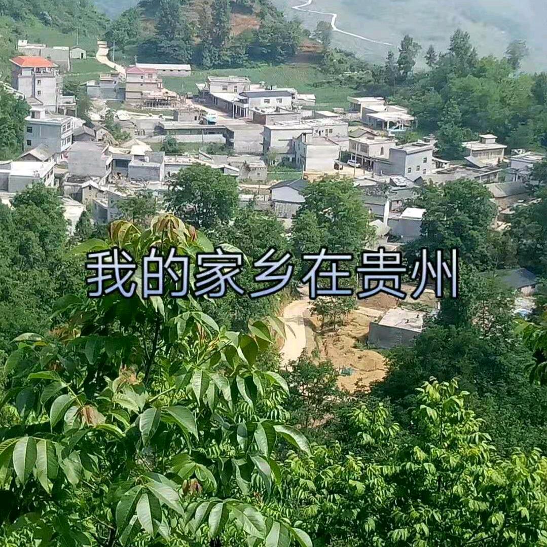 胡姐