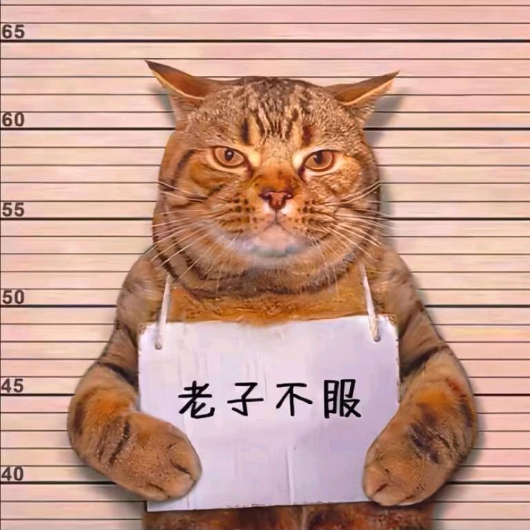 北晴