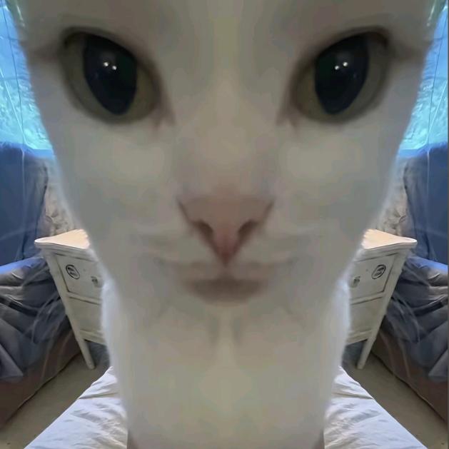 洁子