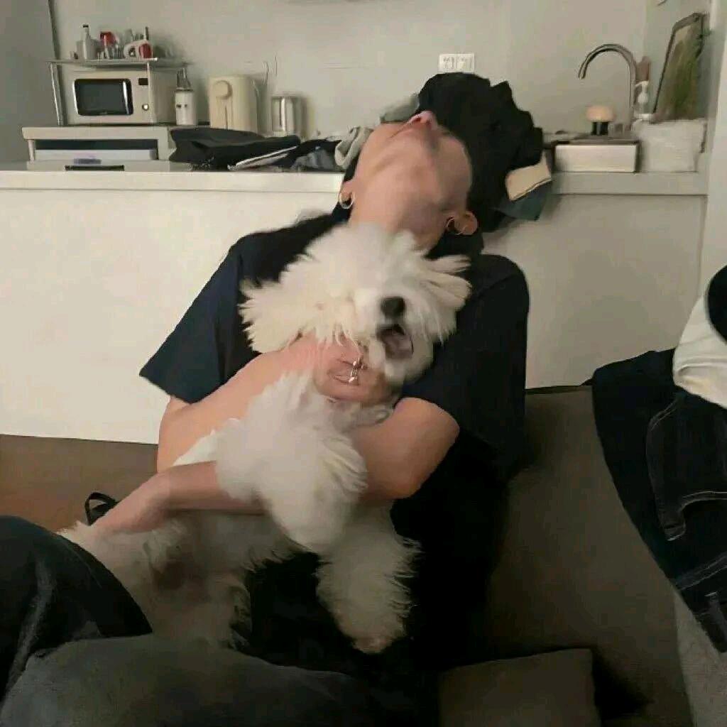 热心网友小陈