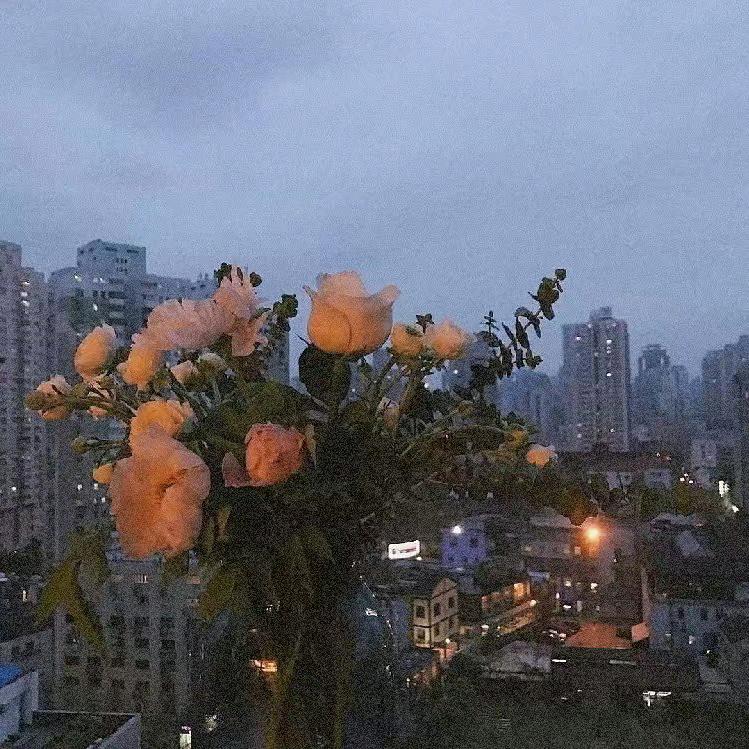 快乐就好