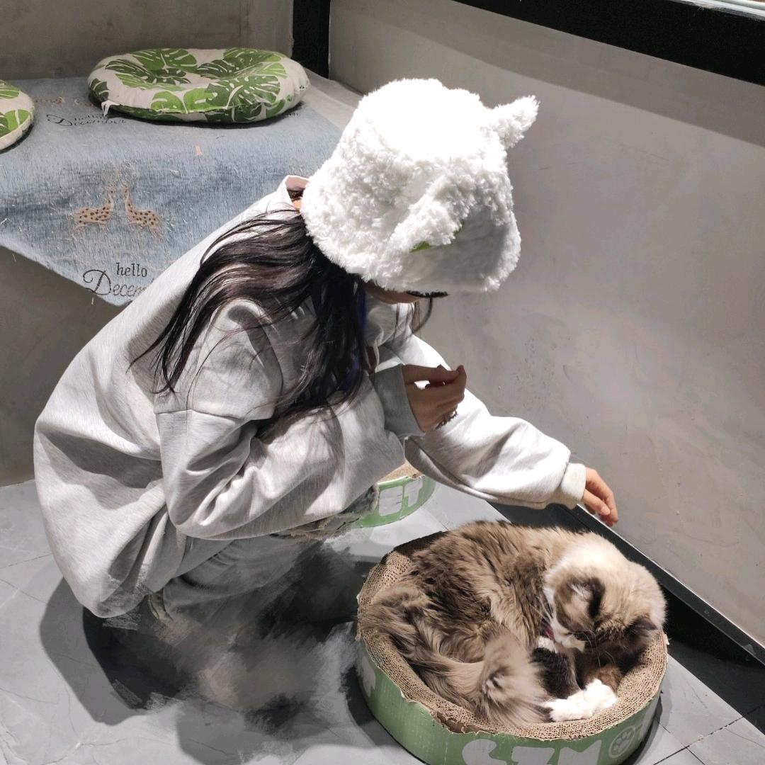 倩._