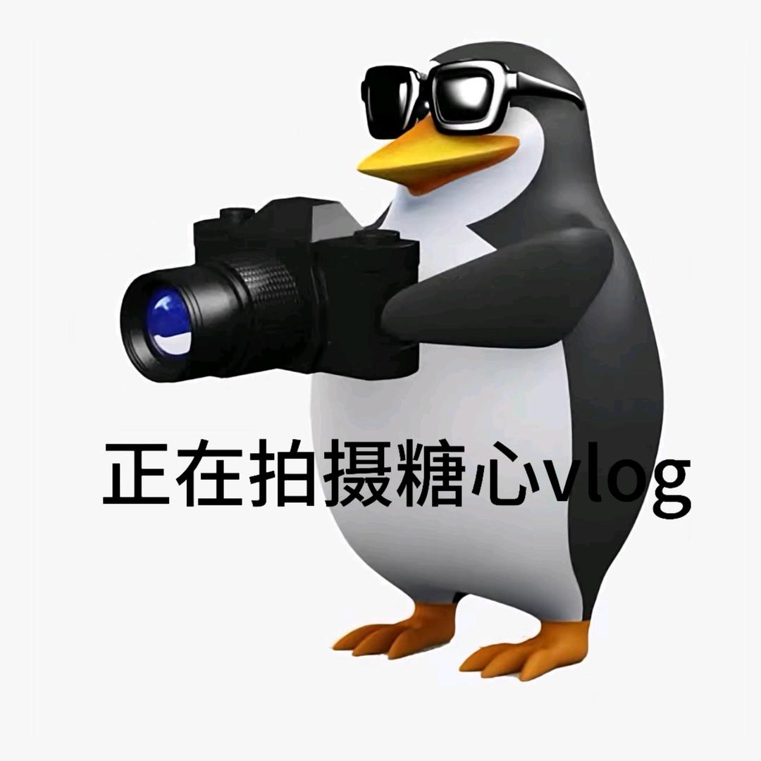 泽纸