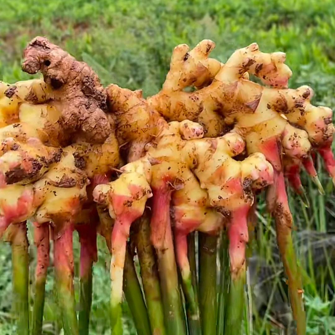 太溪邦 🐳小玉