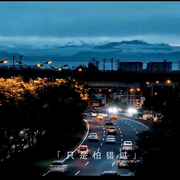 读后感