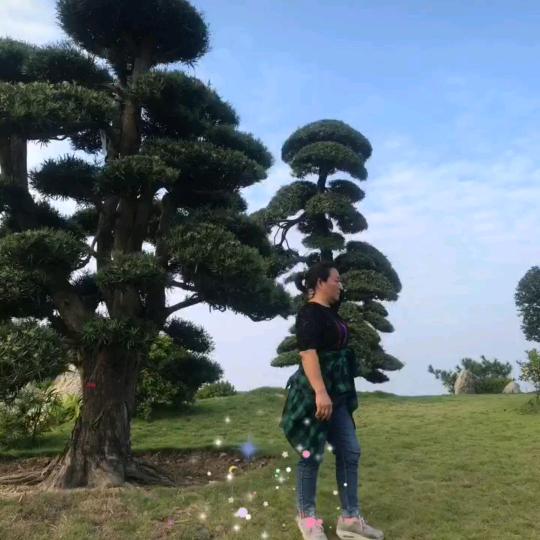 开心😁每一天