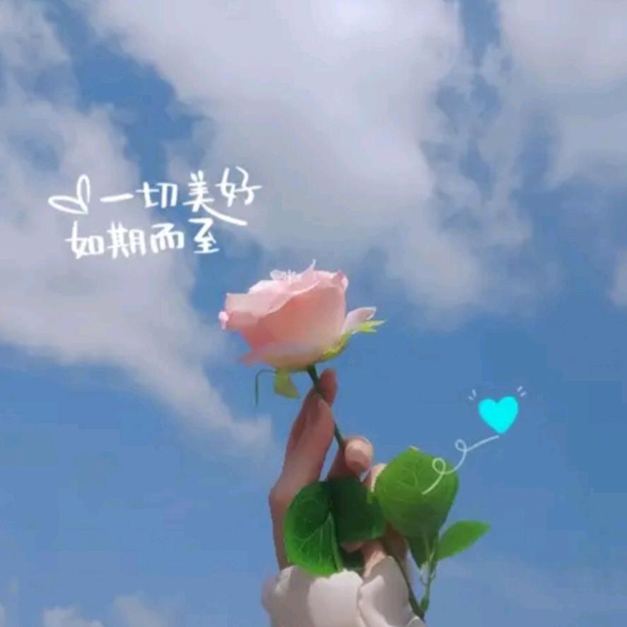 落花🌸轻语✿