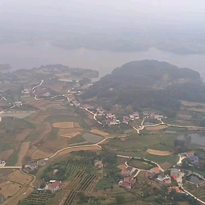 肖
