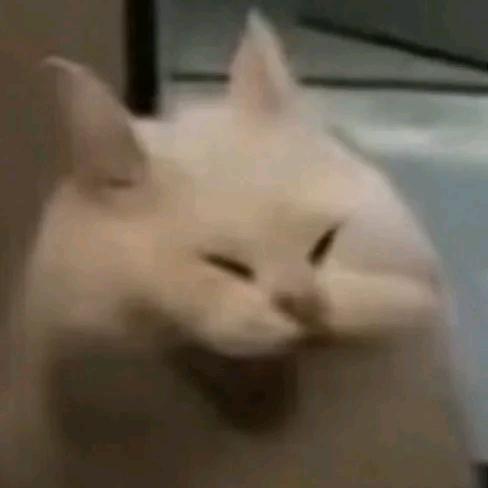 闲云（照顾外婆版）