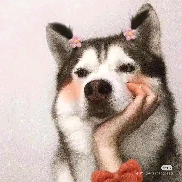 🍉超甜