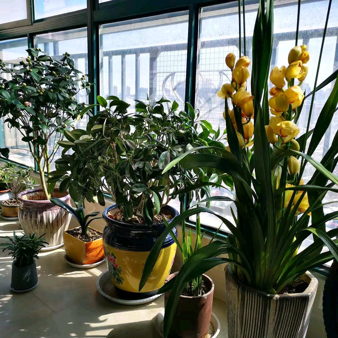 人逢喜事精神爽