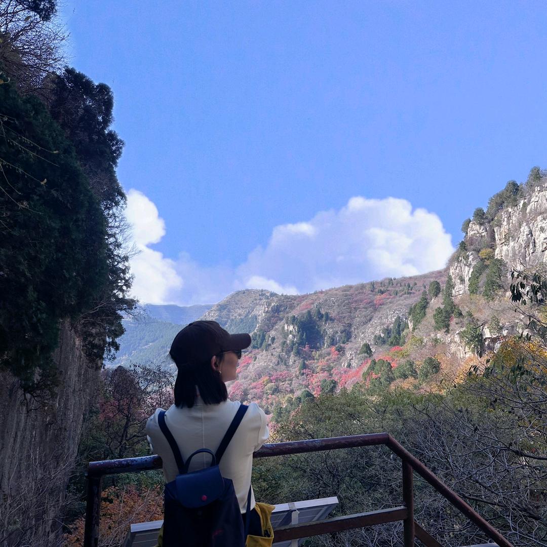 🍀小姜同学🍀
