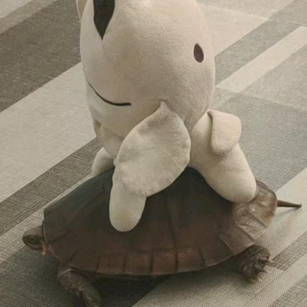 遇事不慌张同学