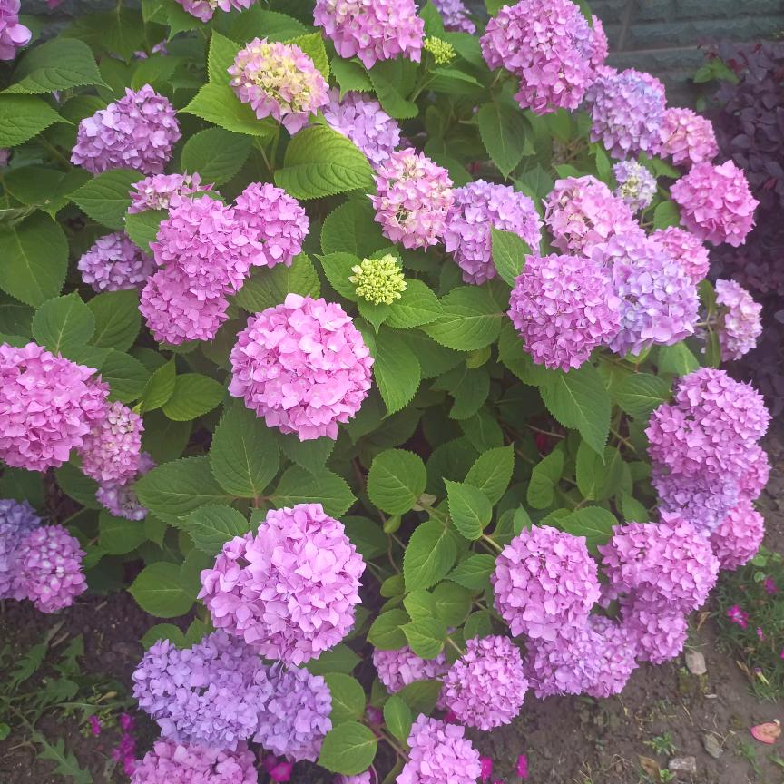 懂的珍惜，才配拥有