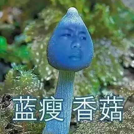 抱着马桶唱情歌。