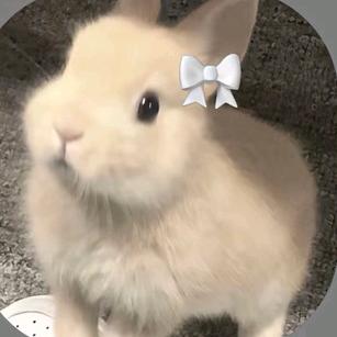 贩卖你的快乐呀！