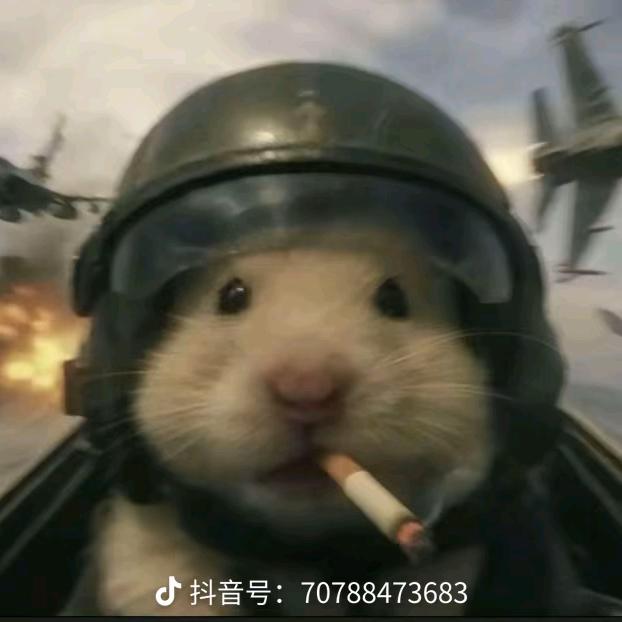 澜什