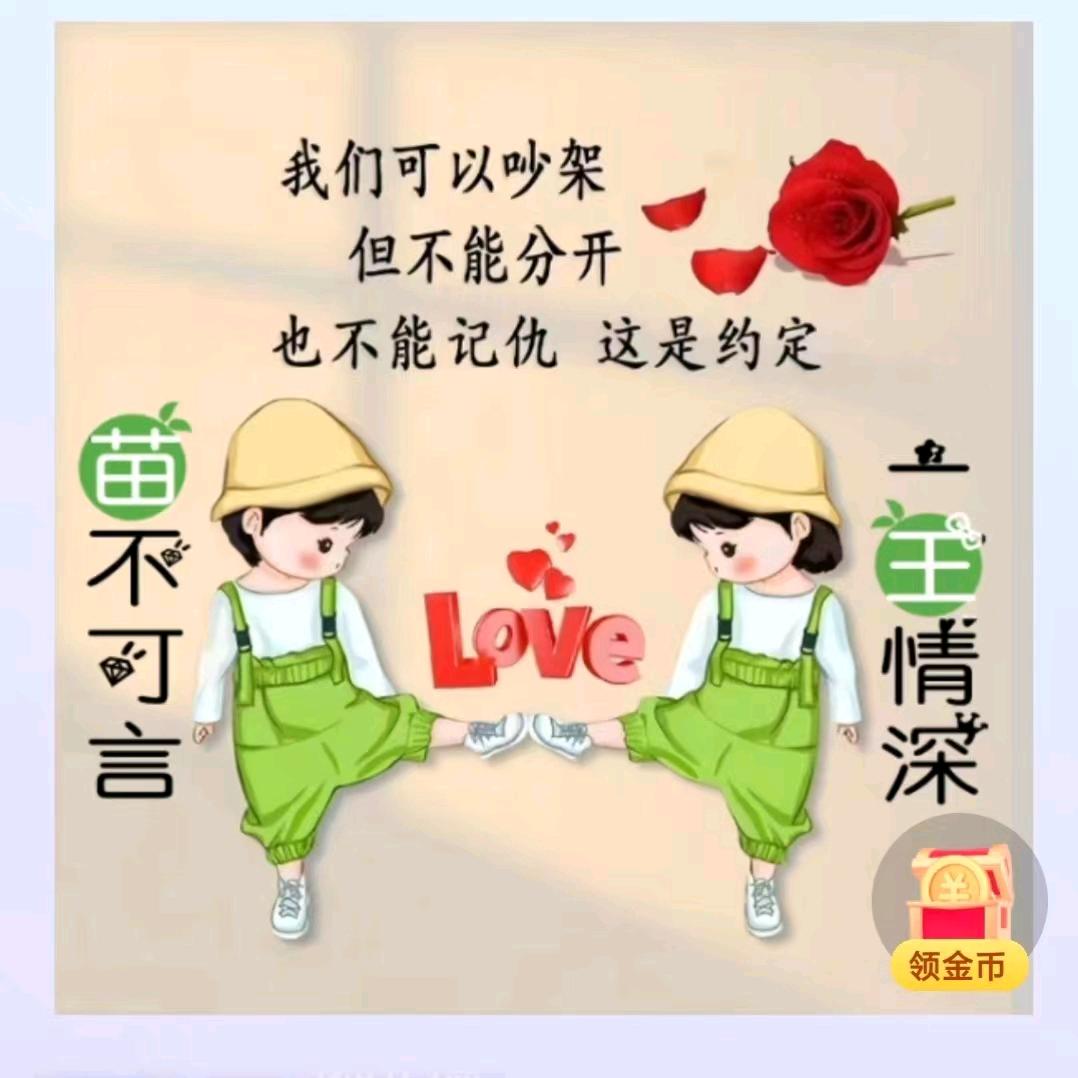 娟子精选