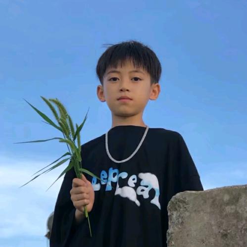 头科
