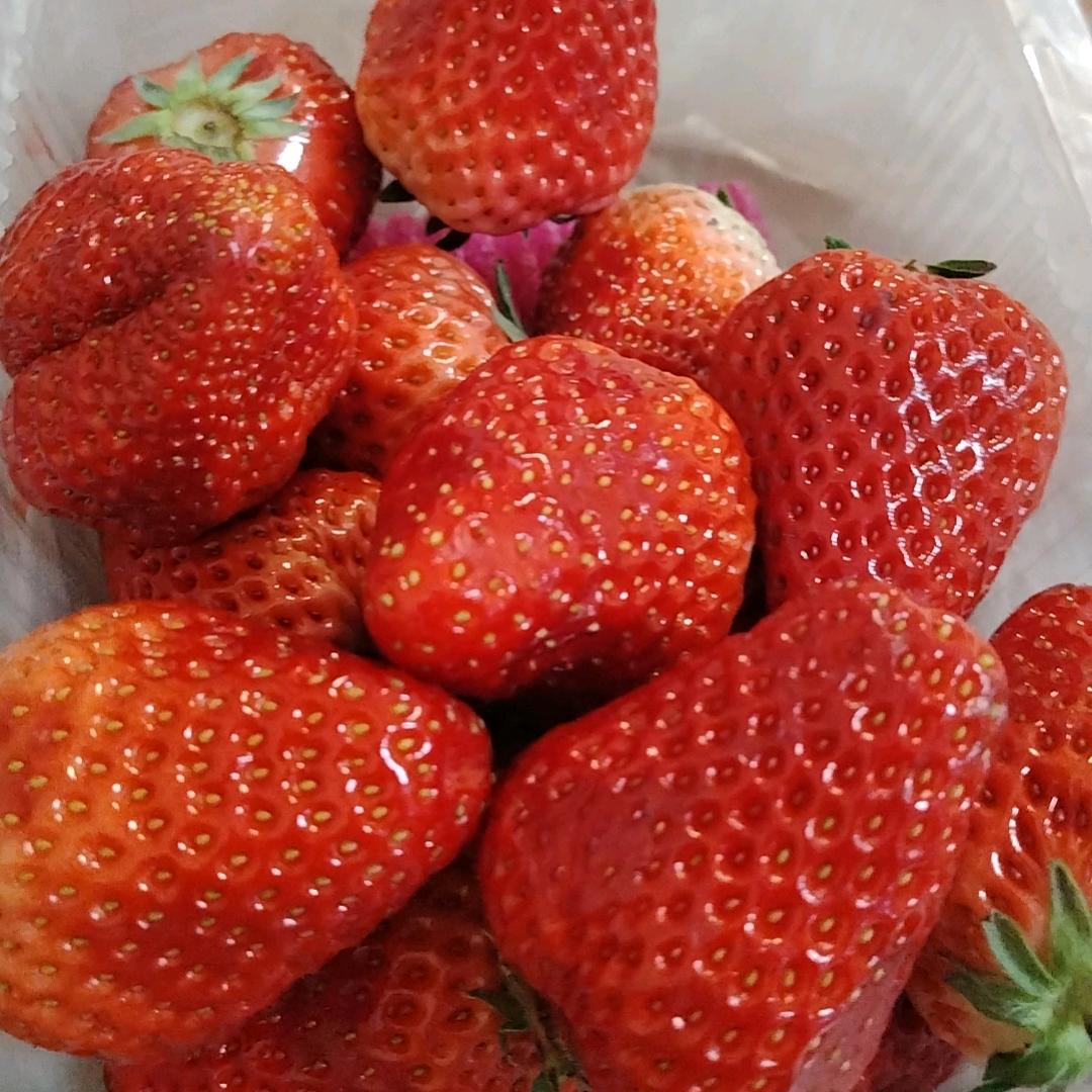 小唐尼动物世界