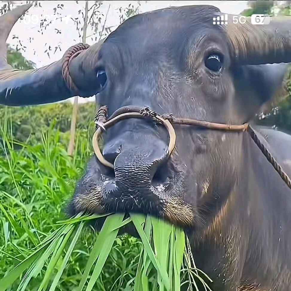 堅持°