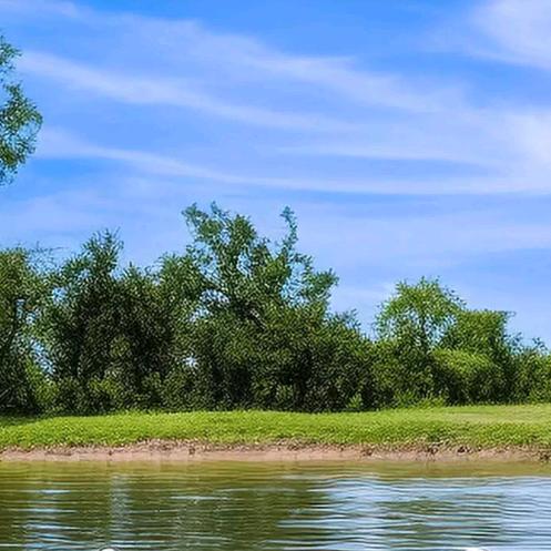 顺其自然🌺🌺