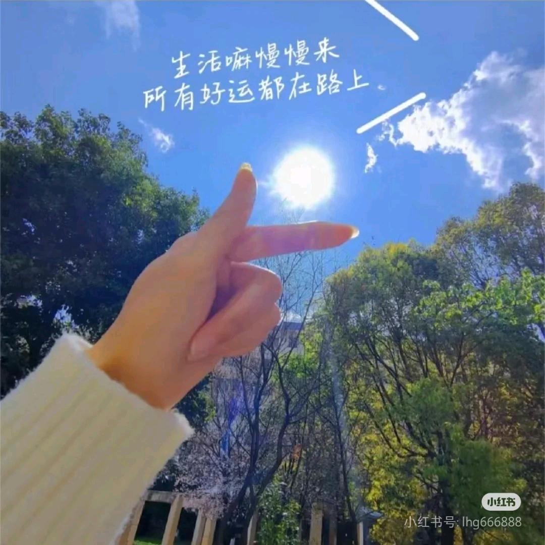 冬日里的栀子花