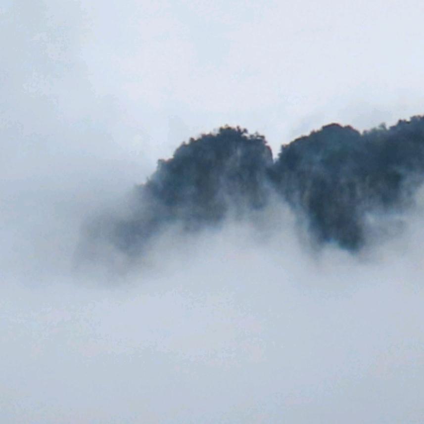 云徘徊