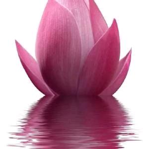 小燕静静