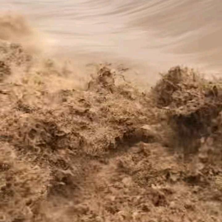 秋归