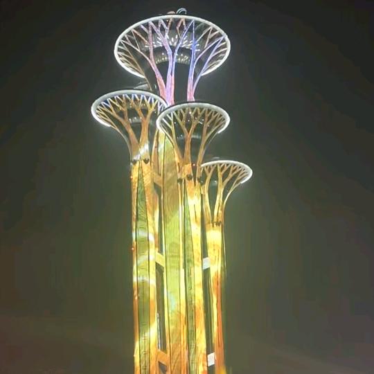 康桥阳光