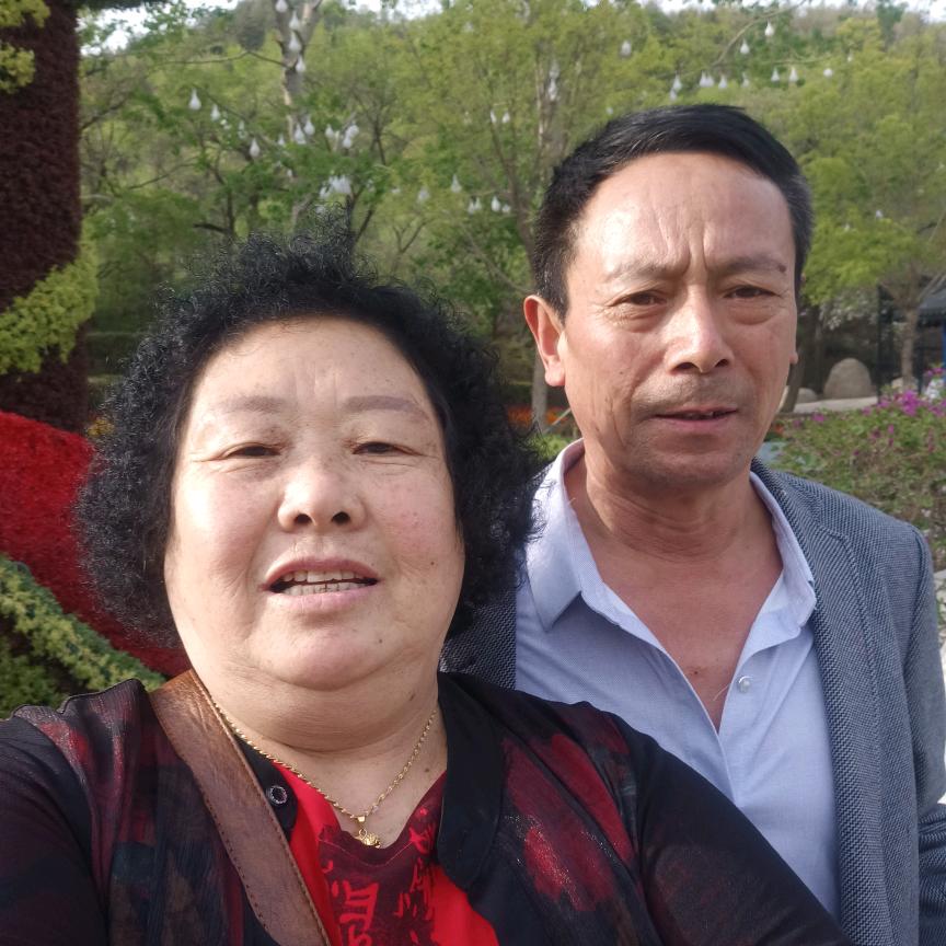 胖太太的幸福生活