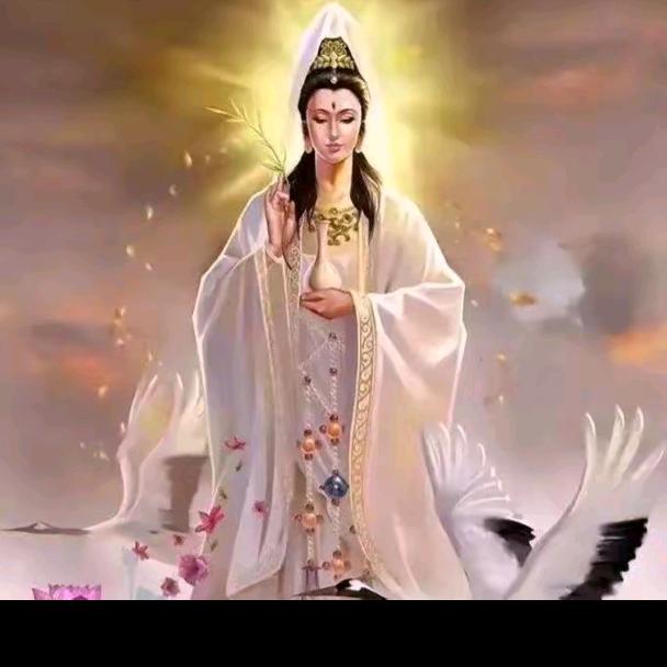 观音菩萨小号