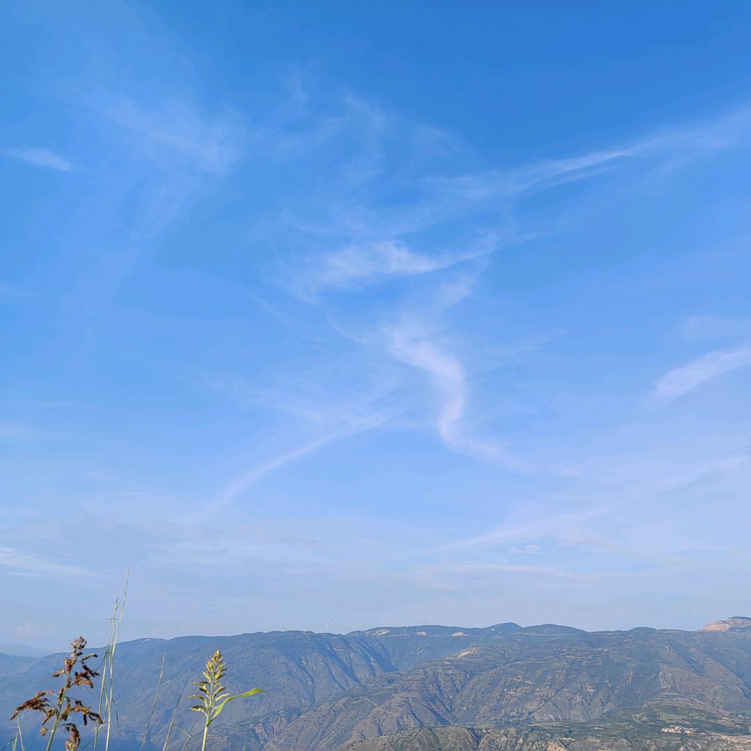 风