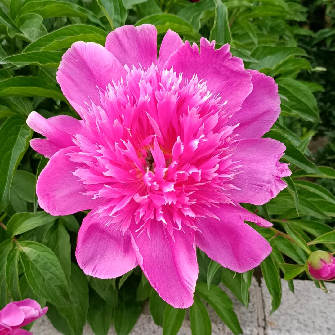 浇花浇地浇幸福