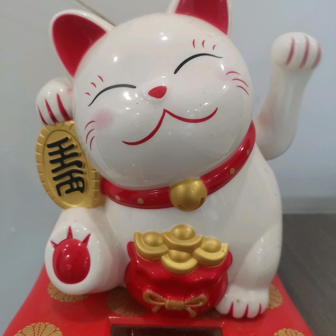 路飞